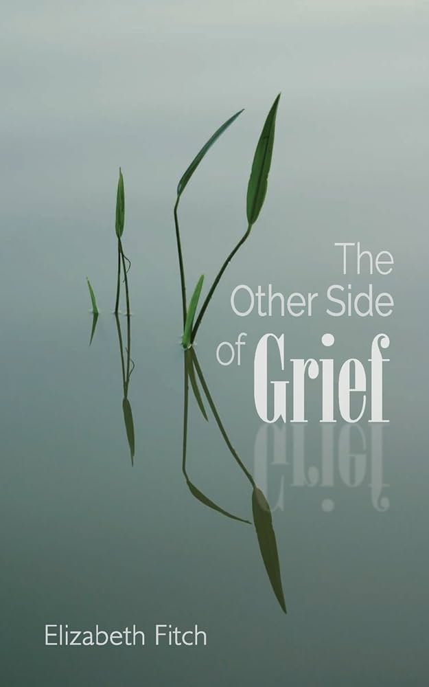 The Other Side of Grief: Fitch, Elizabeth: 9780692905081